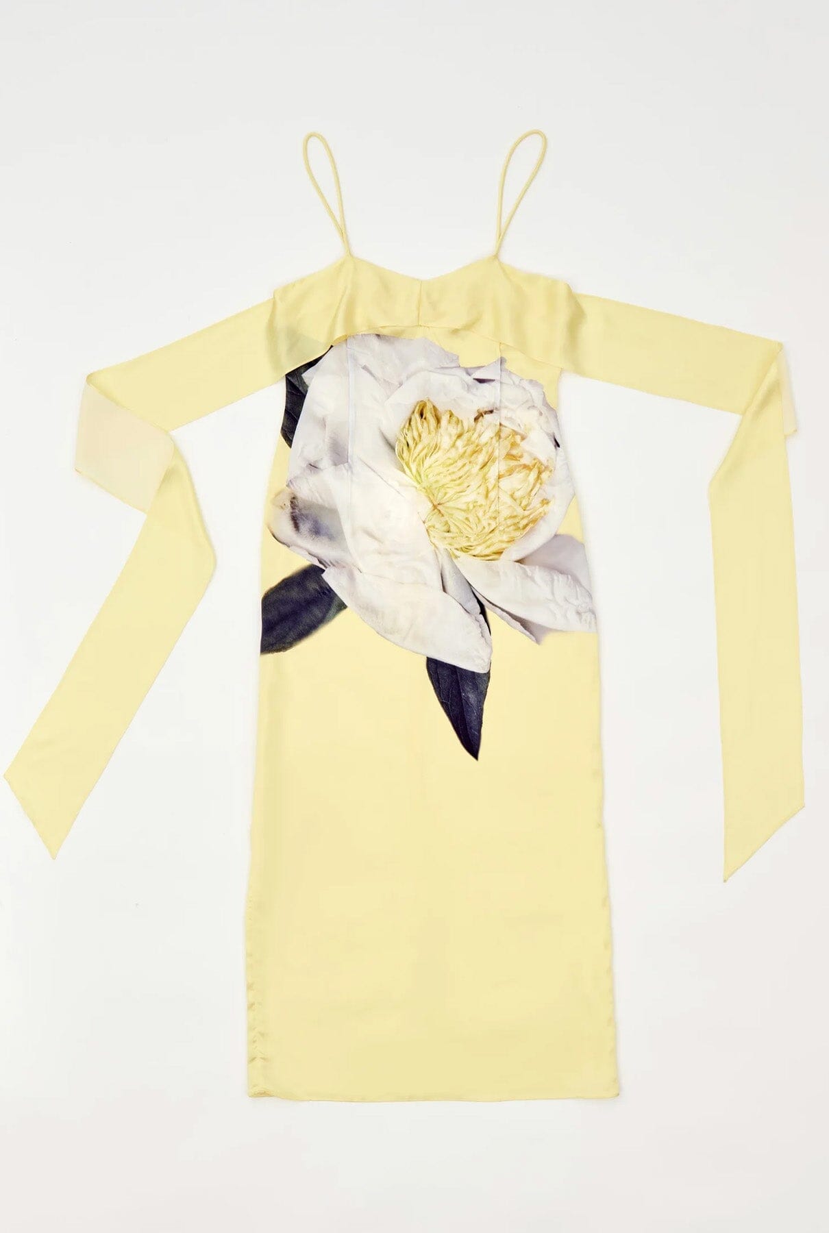 Slip peonia yellow