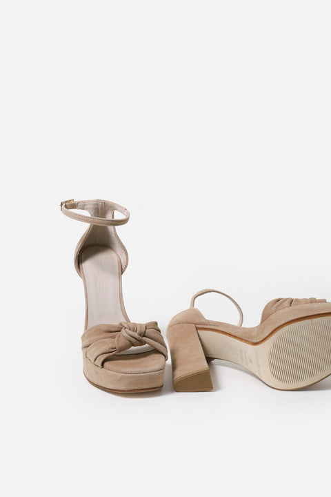 Arlena knot ante camel