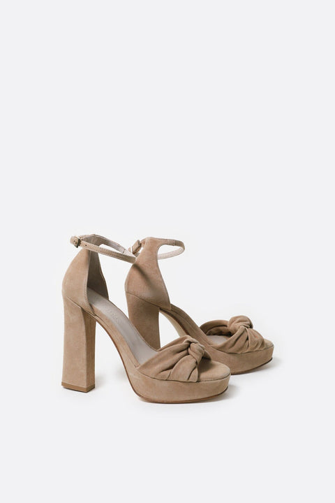 Arlena knot ante camel
