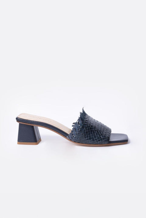 Attina azul