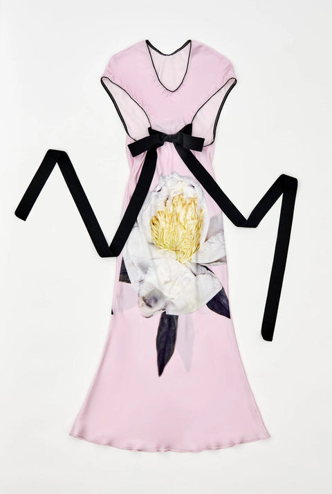 Bow back peonia pink