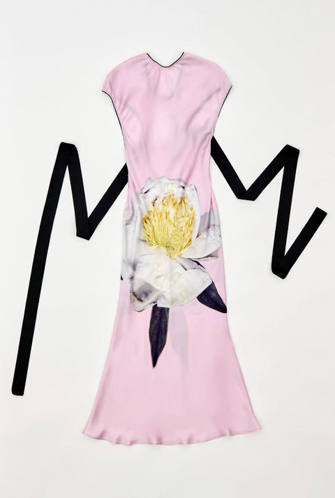 Bow back peonia pink