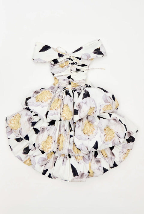 Double balloon dress