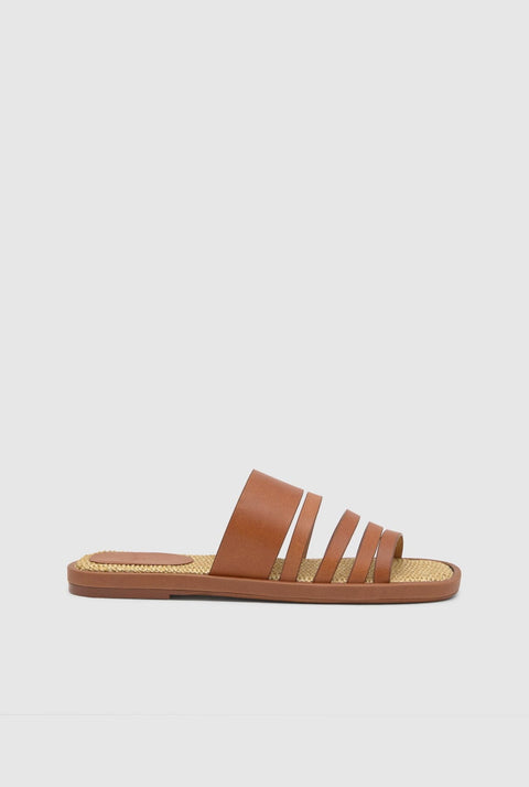 PALOMA/257