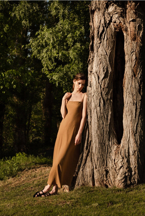 Vestido anterior de Alina