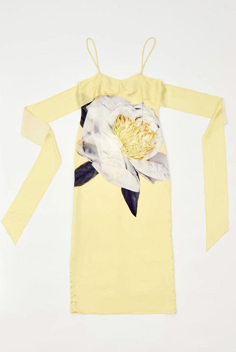 Slip peonia yellow